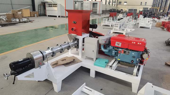small Salmon twin screw extruder machine in the Philippines